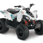 Can Am DS 250 Top Speed
