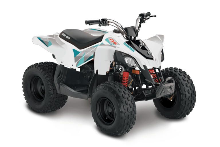 Can Am DS 250 Top Speed