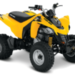 Can am DS 250 problems