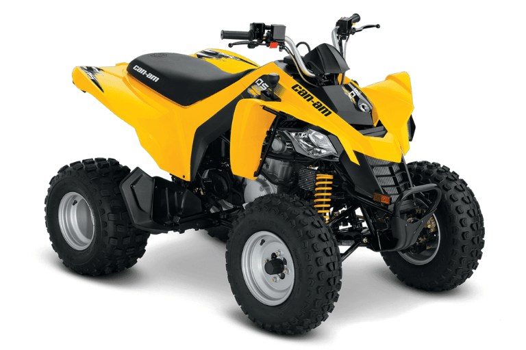 Can am DS 250 problems