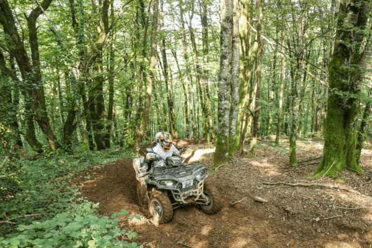 Polaris sportsman 450 top speed