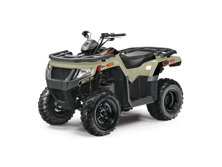2024 Arctic Cat Alterra 300 2x4 image