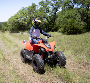 2024 Can-Am DS 250
