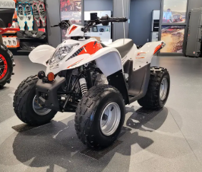 2024 Argo Xplorer XC 90
