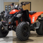 2024 Can-Am DS 250
