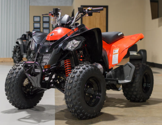 2024 Can-Am DS 250