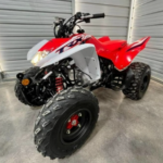 2024 Can-Am Renegade X xc 110 EFI