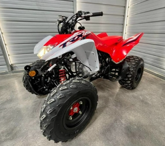 2024 Can-Am Renegade X xc 110 EFI