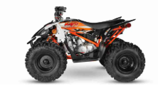 2024 Kayo Predator 125 