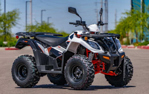 2024 Kayo Bull 300 EFI Detailed