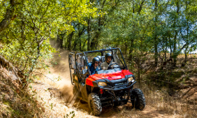 2024 Honda Pioneer 700-4 Forest