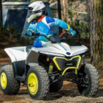 2024 CFMOTO CFORCE EV110