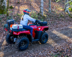2024 Honda FourTrax Rancher?? ES