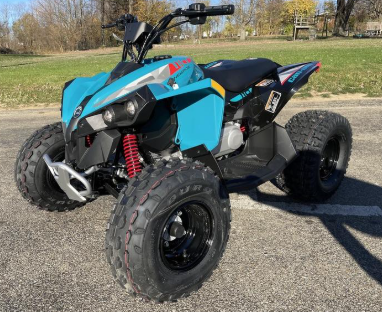 Can-Am Renegade 110 EFI