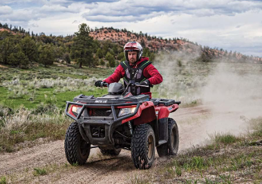 2024 Arctic Cat Alterra 450 4x4