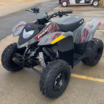 2024 Polaris Phoenix??? 200