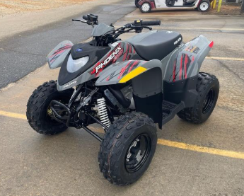 2024 Polaris Phoenix??? 200