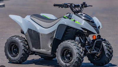 2024 Kawasaki KFX?? 50