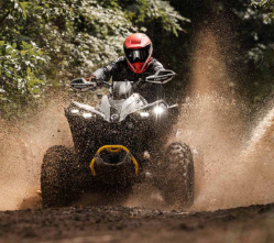 2024 Can-Am Renegade 650