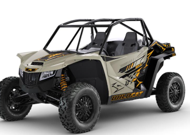 2024 Arctic Cat Wildcat XX