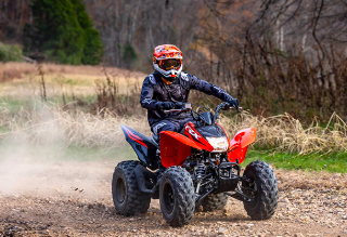 2024 Honda TRX?? 250X