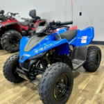 2024 CFMOTO CFORCE 110