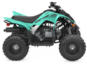 2024 yamaha raptor 110