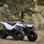 2024 Yamaha Grizzly 90