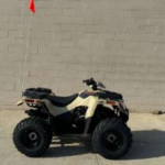 2024 Arctic Cat Alterra 90 2x4