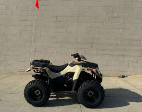 2024 Arctic Cat Alterra 90 2x4