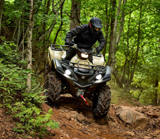 2024 Yamaha Grizzly EPS