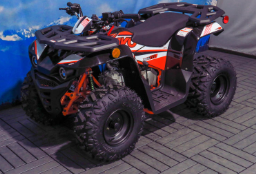 2024 Kayo Bull 110