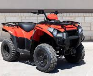 2024 Kawasaki Brute Force?? 300