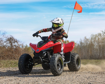 2024 CFMOTO  CFORCE 110