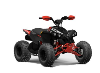 2025 Can-Am Renegade 110 EFI
