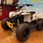 2025 Can-Am Renegade 110 EFI