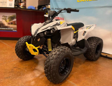 2025 Can-Am Renegade 110 EFI