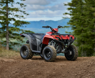 2025 Yamaha Grizzly 110 