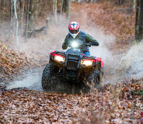 2025 Honda FourTrax Rancher?? 4X4 Automatic DCT IRS EPS