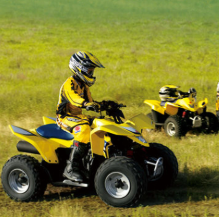 2025 Suzuki QuadSport?? Z90
