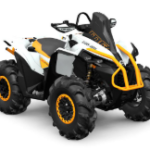 2025 Can-Am Renegade 650
