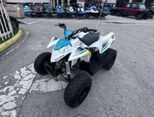 2025 Polaris Outlaw?? 110 EFI