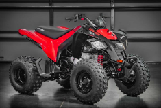 2025 Can-Am DS 250