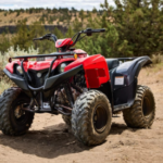 2025 Yamaha Grizzly 110