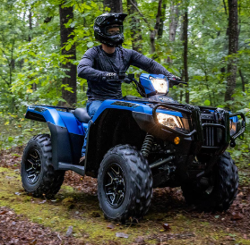 2025 Honda FourTrax Foreman?? Rubicon 4x4 Automatic DCT EPS