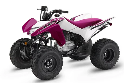 2025 Honda TRX?? 250X
