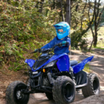 2025 Yamaha Raptor 110