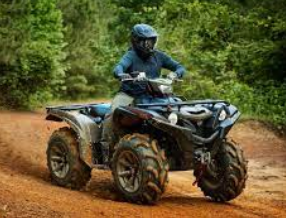 2025 Yamaha Grizzly EPS