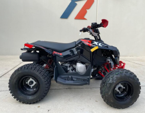2025 Can-Am Renegade X xc 110 EFI