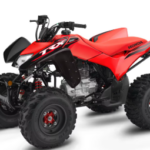 2025 Honda TRX?? 250X